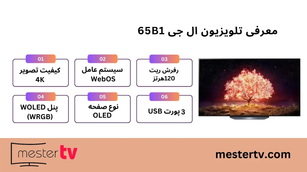 تلویزیون ال جی 65B1